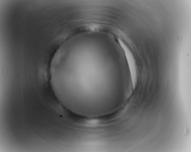 X0000088470313200706051347