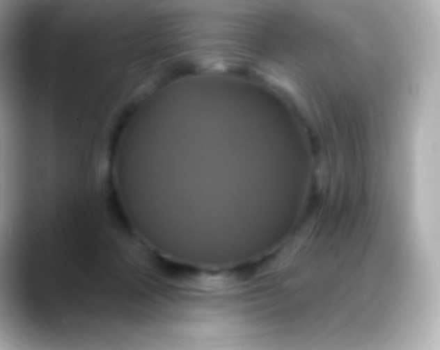 X0000088470314200706051347