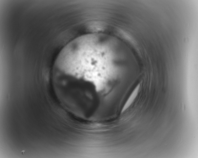 X0000088470315200706051347