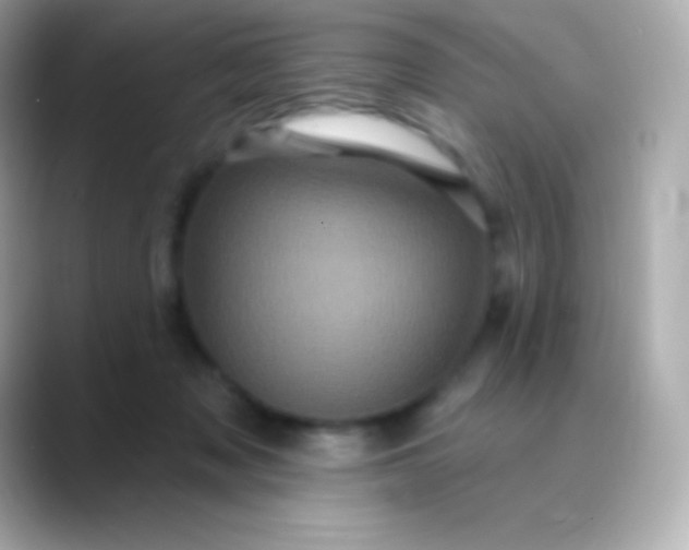 X0000088470317200706051347