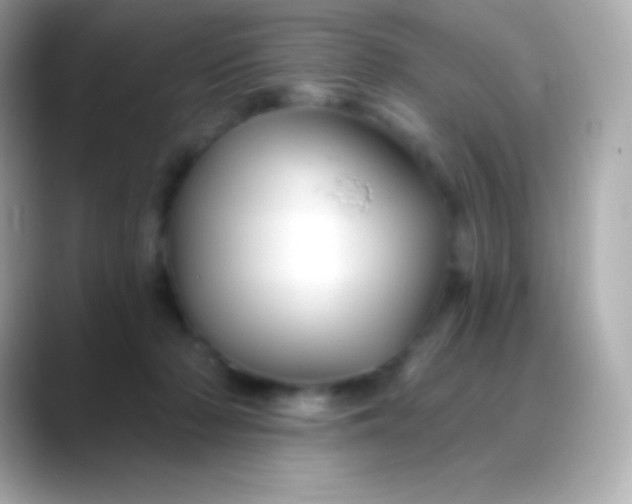 X0000088470318200706051347