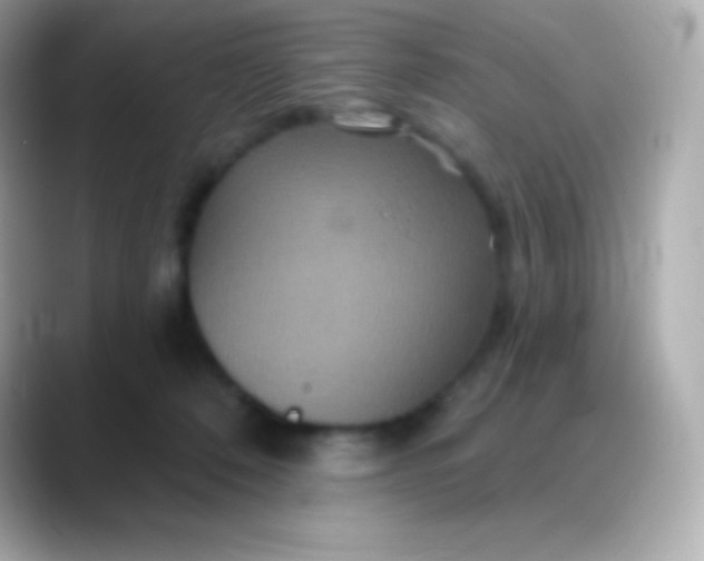 X0000088470320200706051347