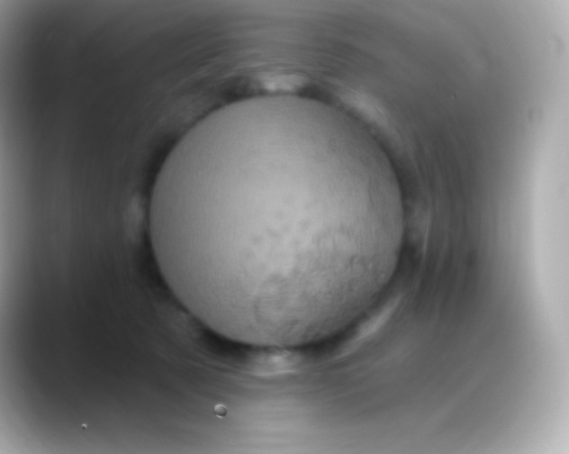 X0000088470321200706051347