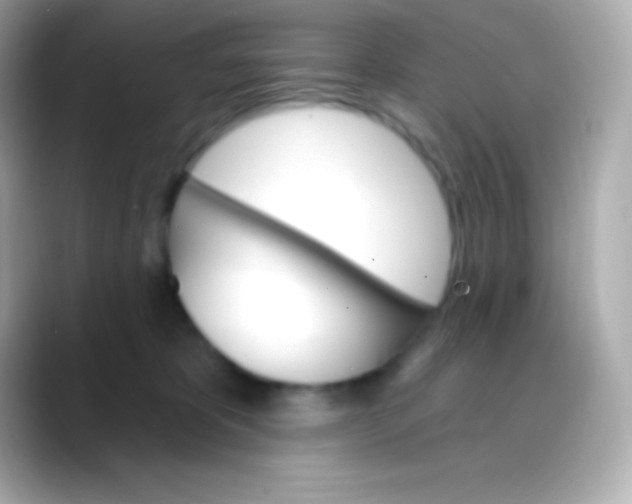 X0000088470325200706051347