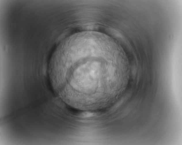 X0000088470326200706051347