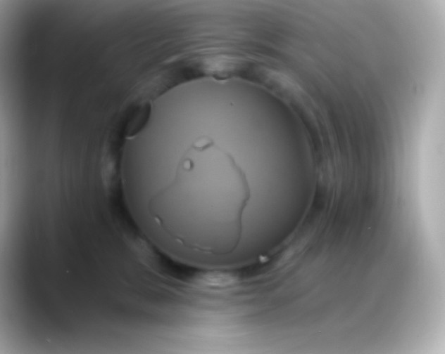 X0000088470327200706051347