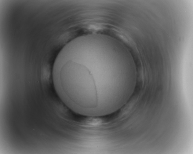 X0000088470328200706051347