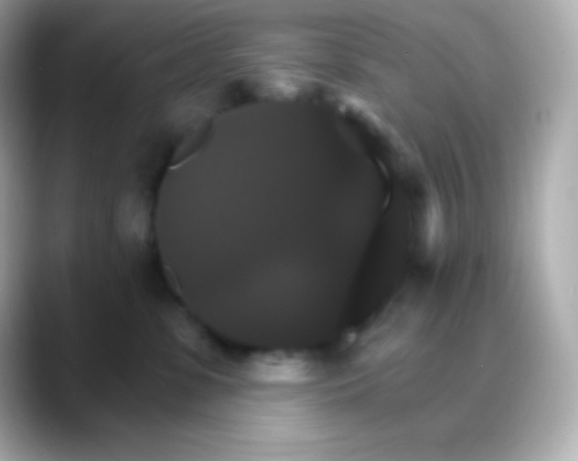 X0000088470331200706051347