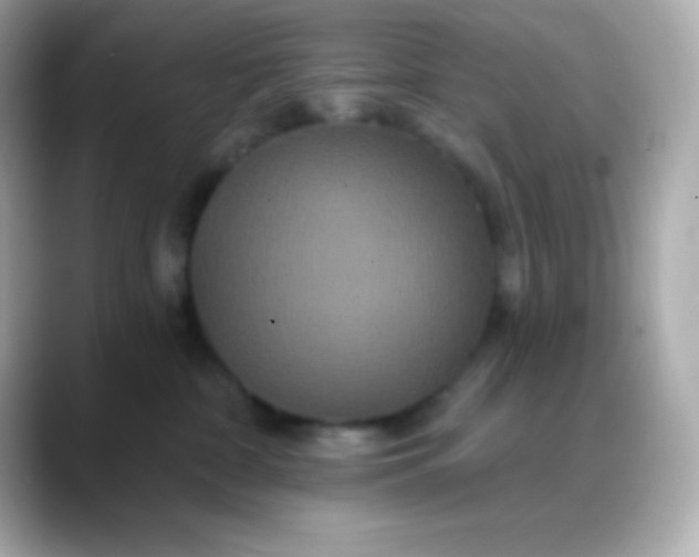 X0000088470332200706051347