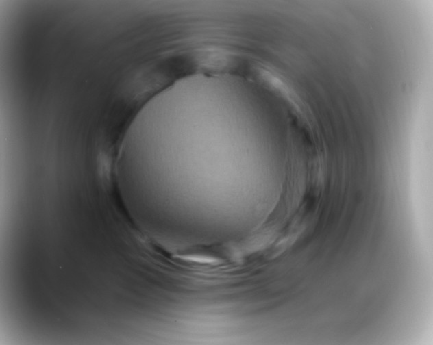 X0000088470333200706051347