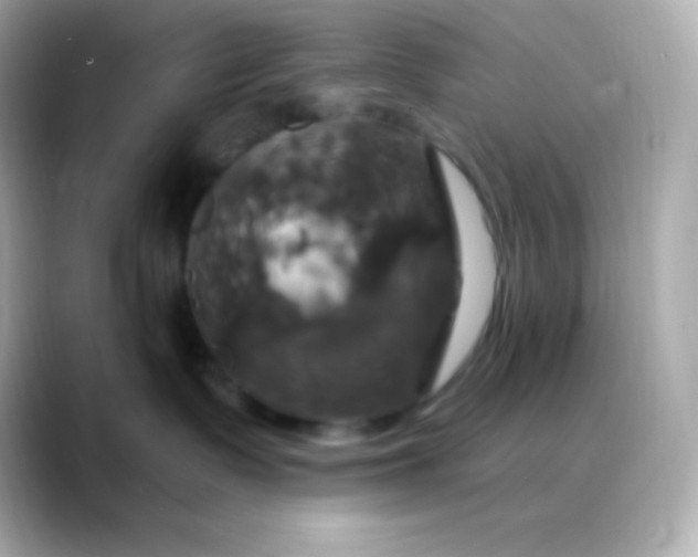 X0000088470335200706051347