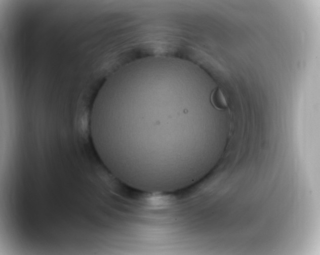 X0000088470336200706051347