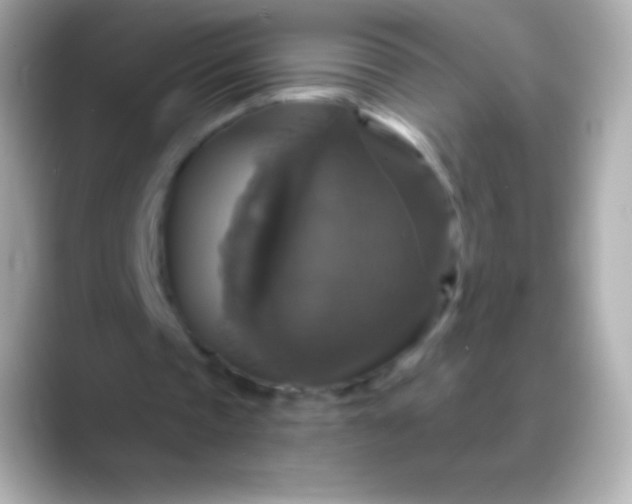 X0000088470337200706051346