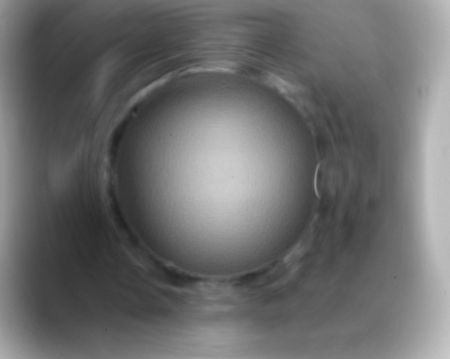 X0000088470338200706051346