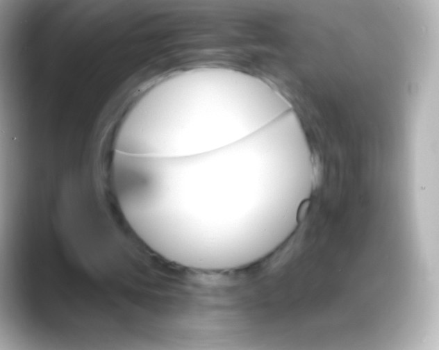 X0000088470339200706051346