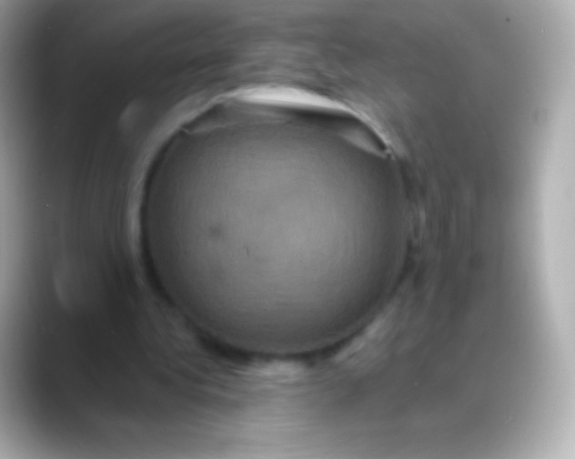 X0000088470340200706051346