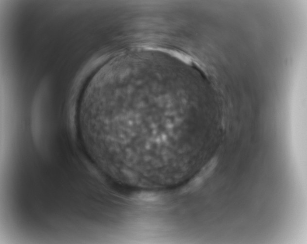 X0000088470341200706051346