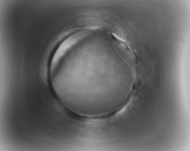 X0000088470342200706051346