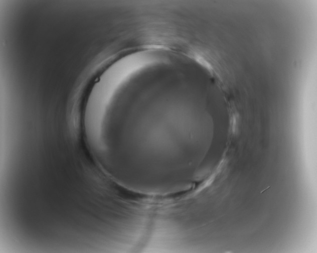 X0000088470343200706051346