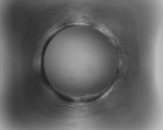 X0000088470344200706051346