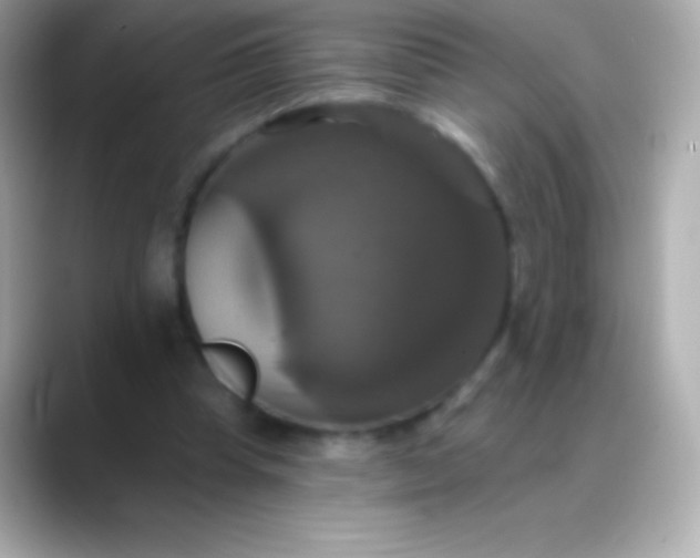 X0000088470345200706051346