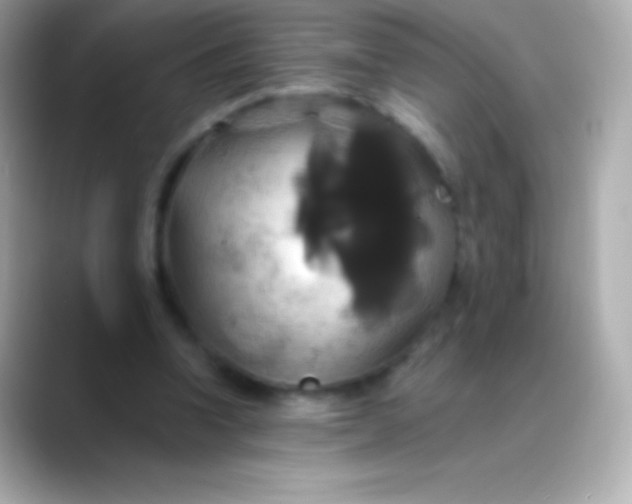 X0000088470346200706051346