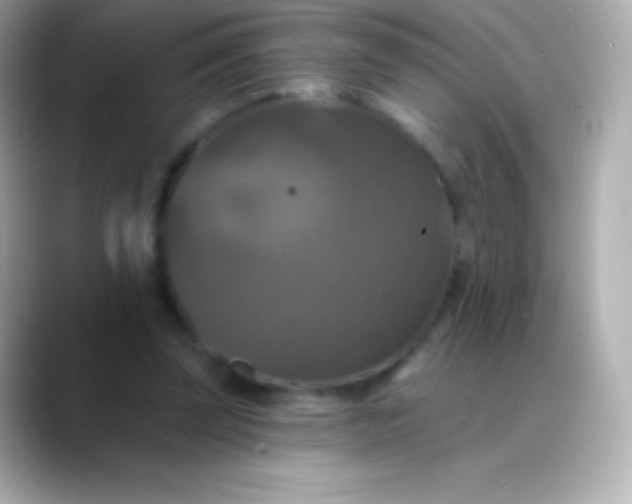 X0000088470347200706051346