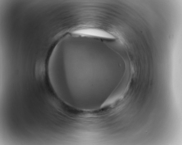 X0000088470348200706051346