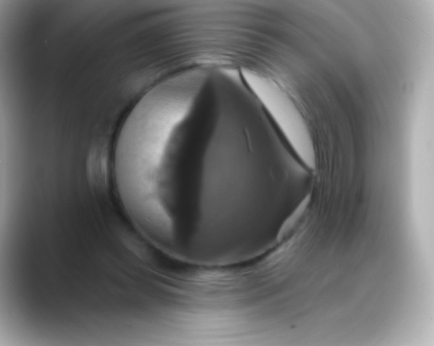 X0000088470349200706051346