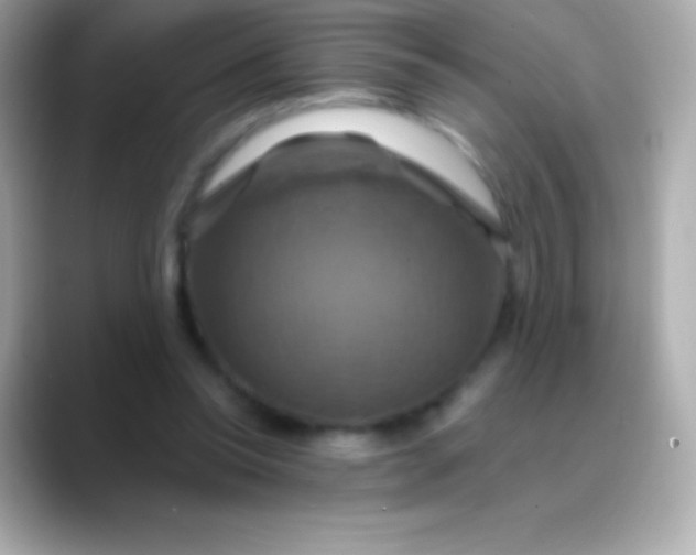 X0000088470350200706051346