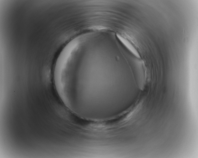 X0000088470351200706051346