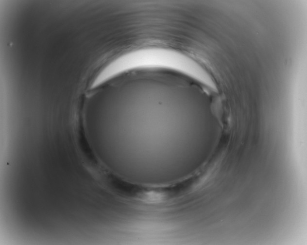 X0000088470352200706051346