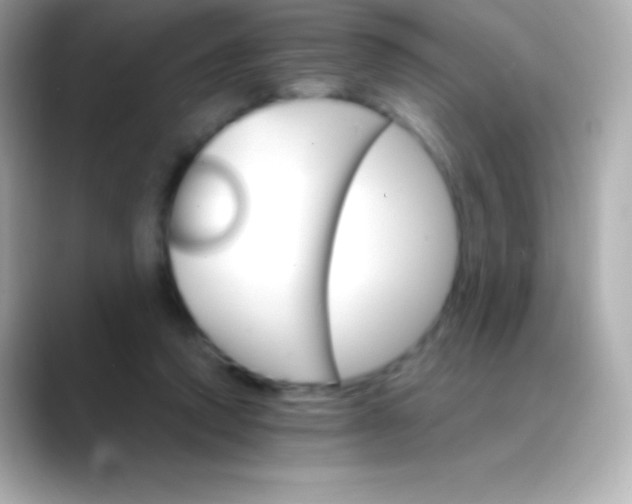 X0000088470354200706051346