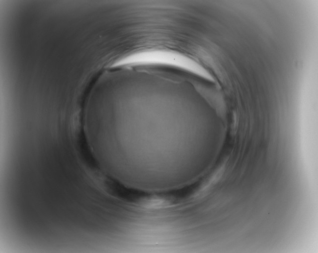 X0000088470356200706051346