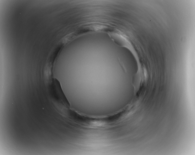 X0000088470360200706051346