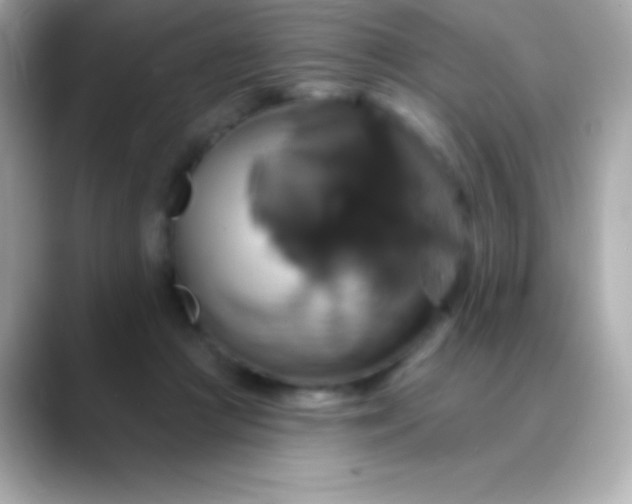 X0000088470361200706051346