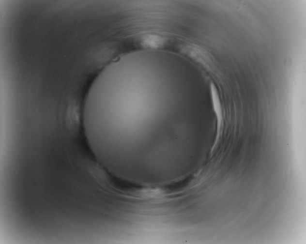 X0000088470363200706051347