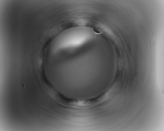 X0000088470365200706051347