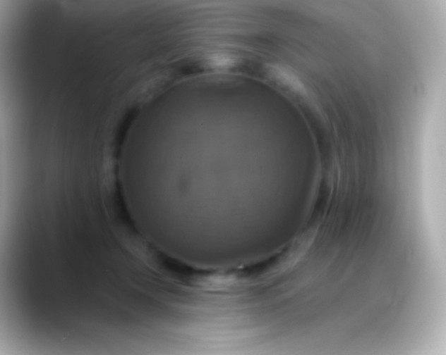 X0000088470366200706051347