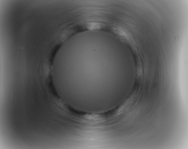 X0000088470367200706051347