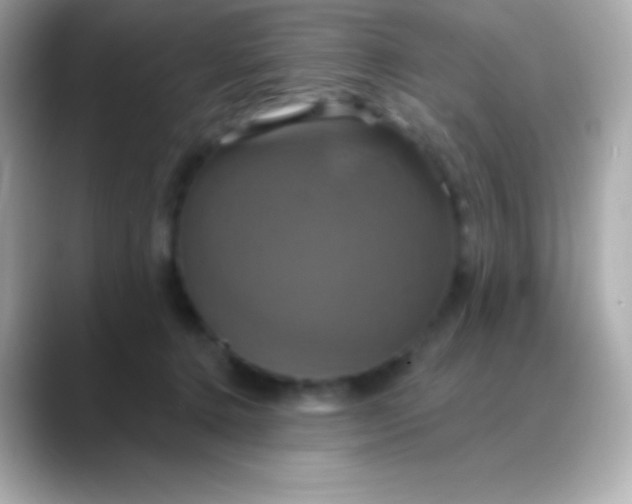 X0000088470368200706051347