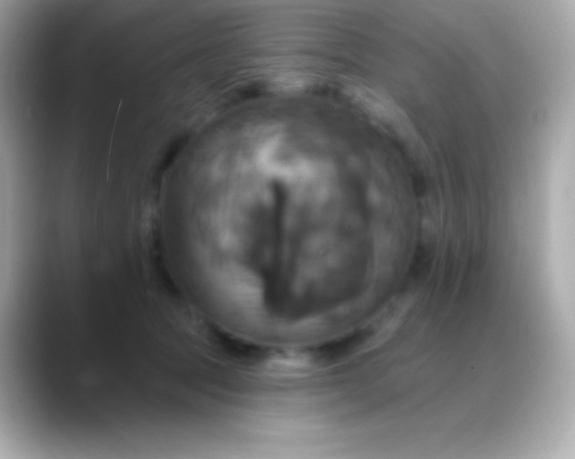 X0000088470369200706051347