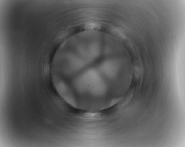 X0000088470375200706051347