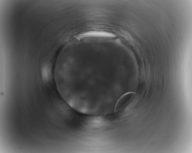 X0000088470377200706051347