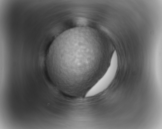 X0000088470379200706051347