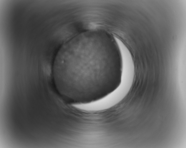 X0000088470380200706051347