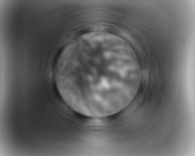 X0000088470381200706051347