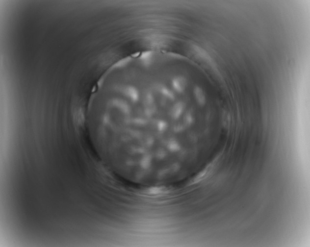 X0000088470382200706051347