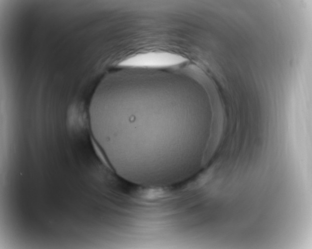 X0000088470384200706051347