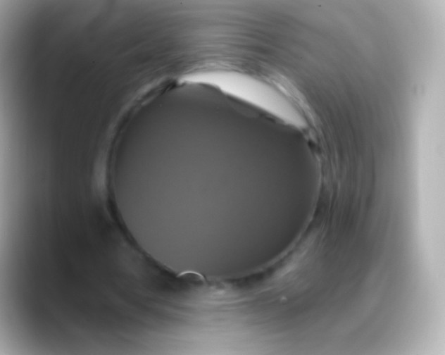 X0000088470386200706051346